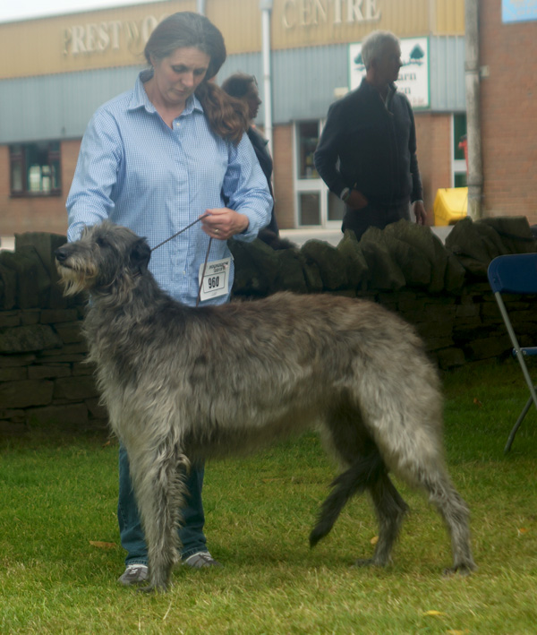 RCC Winner Houndshow 2015